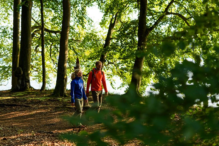 Wanderer_am_Stechlinsee_TMB_Fotoarchiv_Wolfgang_Ehn