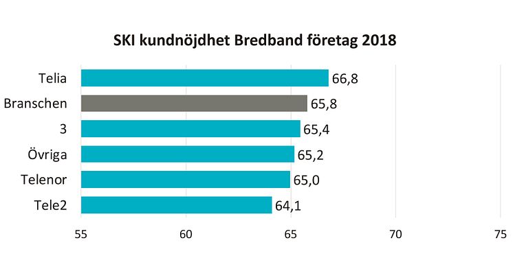 SKI kundnöjdhet Bredband B2B 2018