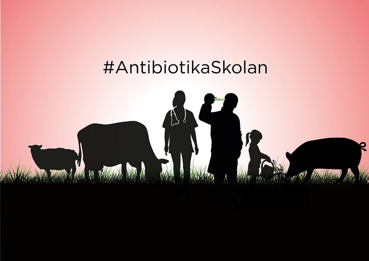 Antibiotikaskolan1