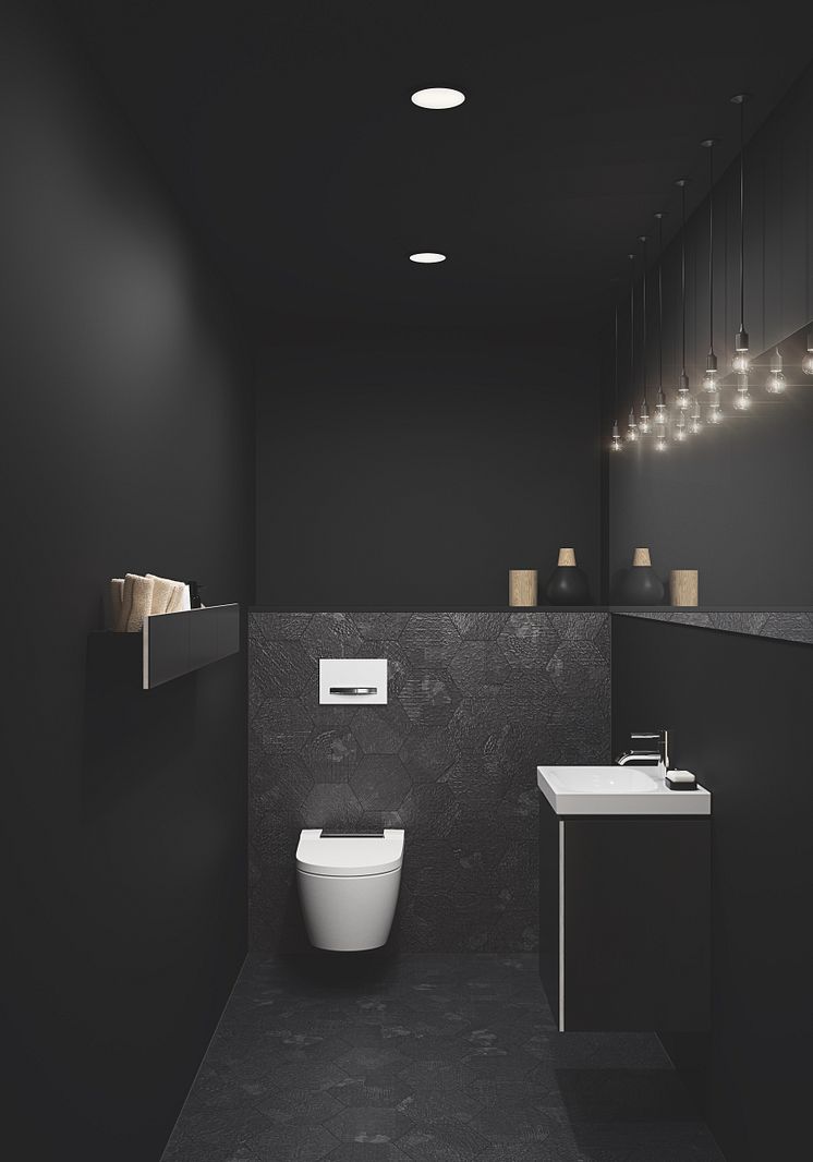 Geberit AquaClean Sela