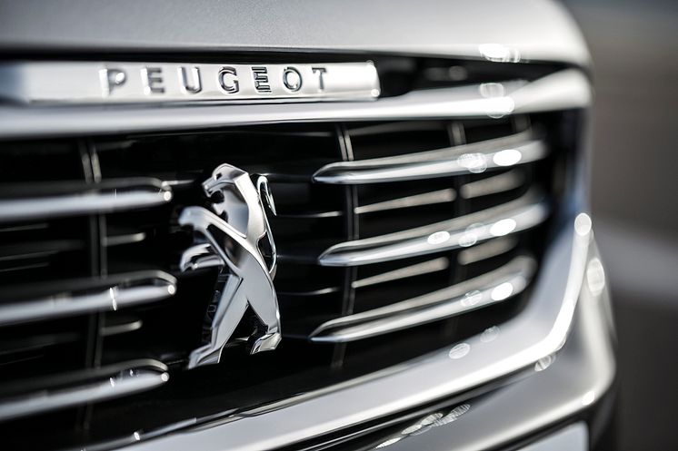 Peugeot 508 grill
