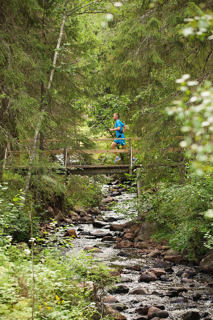 Snart dags för UltraVasan