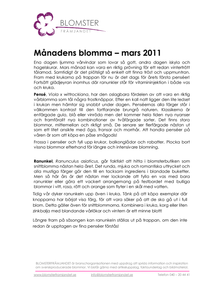 Månadens blomma - mars 2011