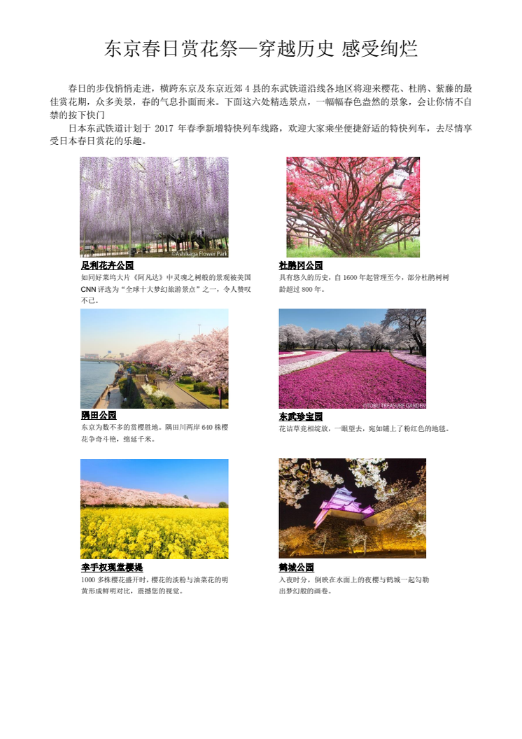 [CHINESE] Cherry Blossoms, Wisteria, and Other Springtime Flower-Viewing Information