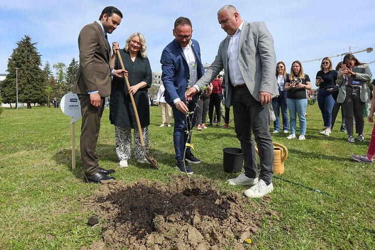 Prvi urbani javni voćnjak VG.jpg