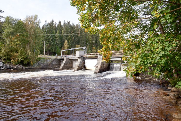 Dammen i gamla åfåran, Fridafors.