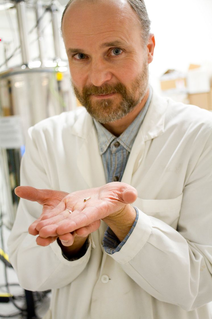 Oleg N.Antzutkin, professor inom ytkemi vid Luleå tekniska universitet