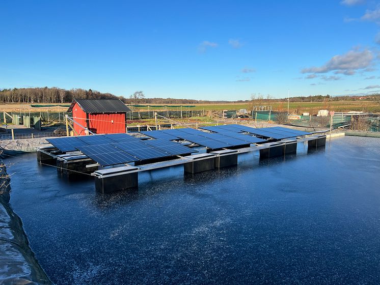 Sunsurf Solars flytande solcellsanläggning - Säve plantskola 3