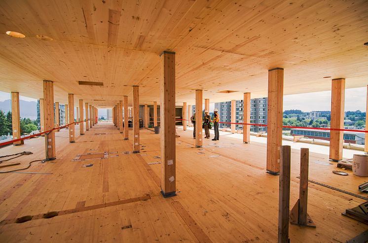 Den invändiga träkonstruktionen på University of British Columbia.