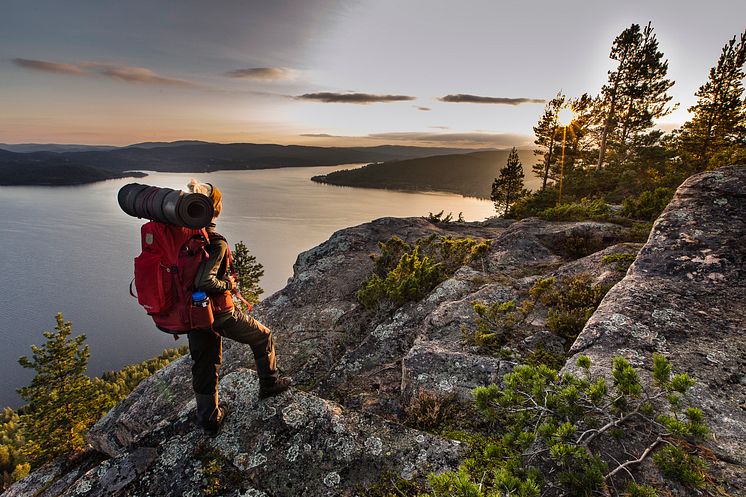 Vandring i Höga Kusten