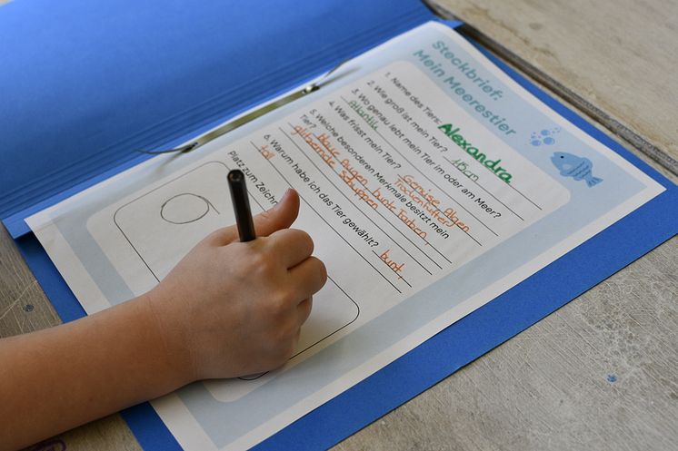 Mit selbst hergestellten Farben arbeiten, Tierkostüme aus recycelten Materialien herstellen, neue Planeten entwerfen, Theater
