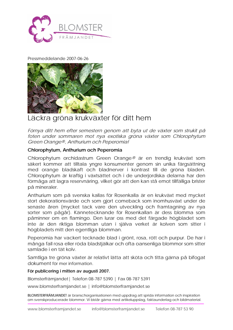 Läckra gröna krukväxter för ditt hem
