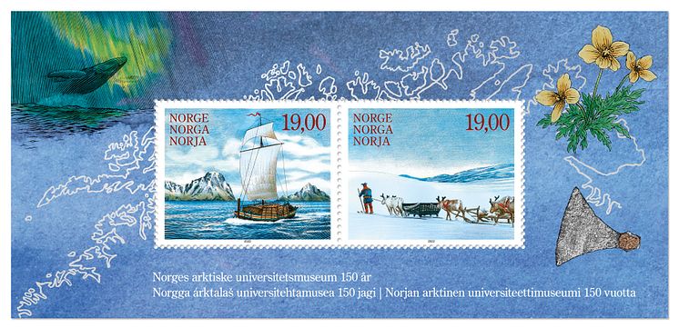 Norges arktiske universitetsmuseum