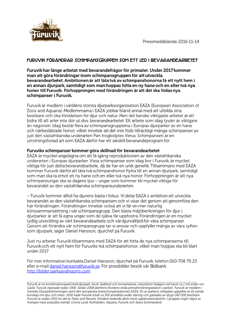 Furuvik förändrar schimpansgruppen som ett led i bevarandearbetet