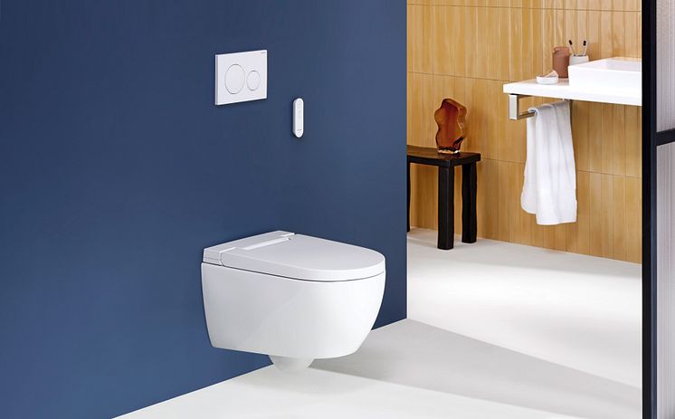 2024_Geberit AquaClean Alba_Private_Remote control_Sigma20_ONE_Option_Original.jpeg