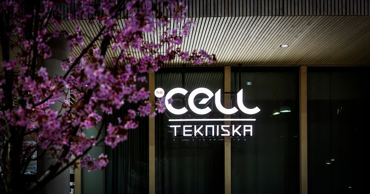 The Cell - Forskaren - Exteriör