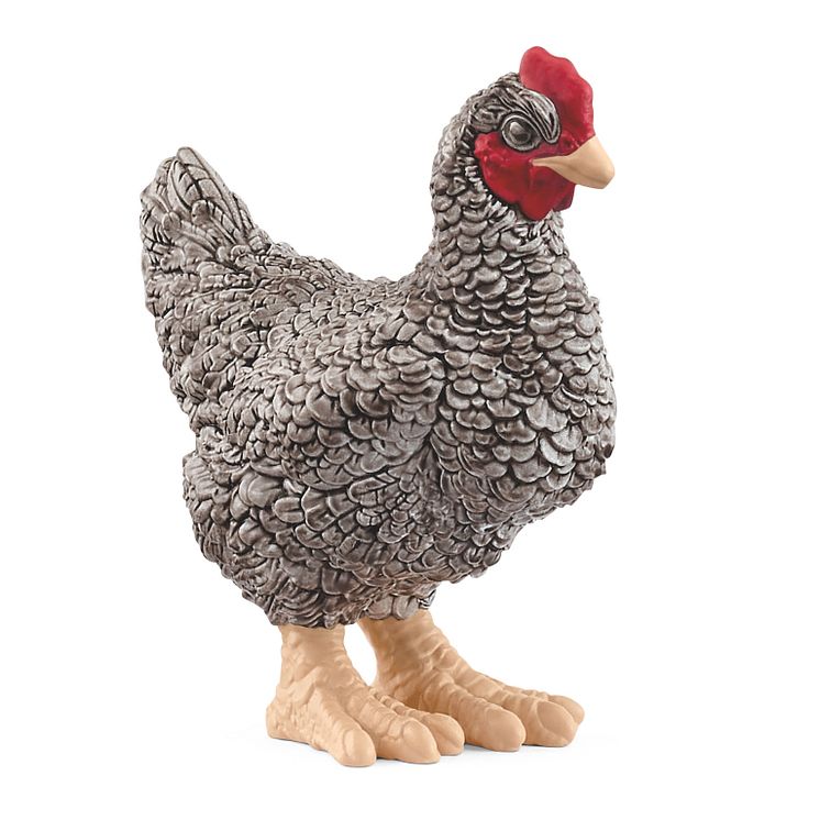 13997_Farm World_Plymouth Rock Chicken_(c)schleich®