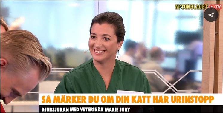 Marie urinstopp kt