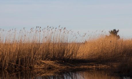 Studie för att säkra Gotlands vattenbehov