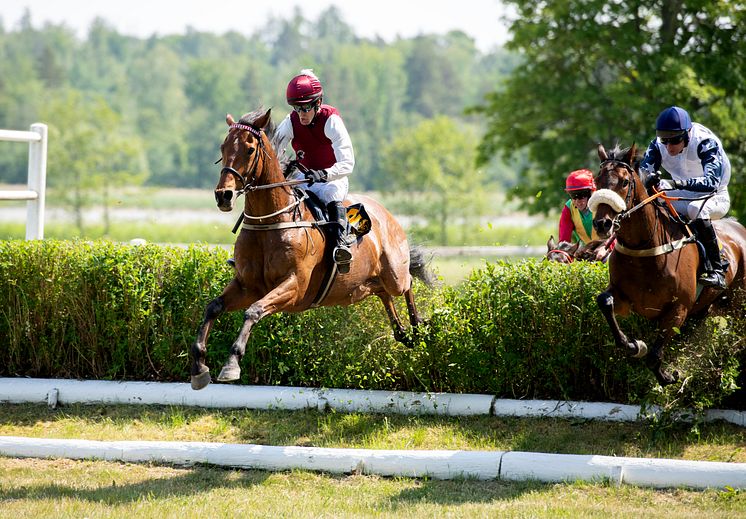 DSC_7893 Mutadaffeq Svenskt Grand National 2023