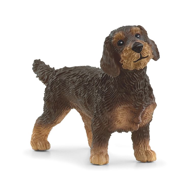 13972_Farm World_Rauhaardackel (c)Schleich