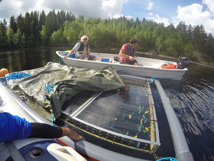 Ferskvann feltarbeid