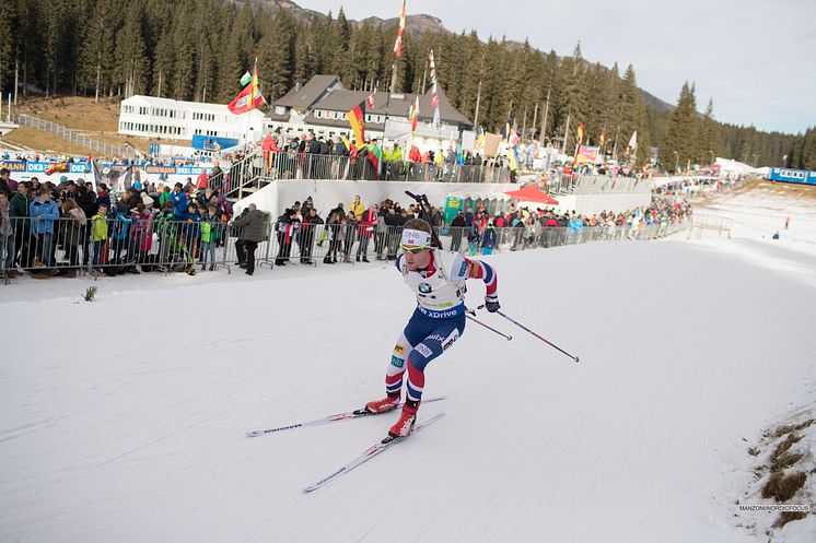 Erlend Pokljuka