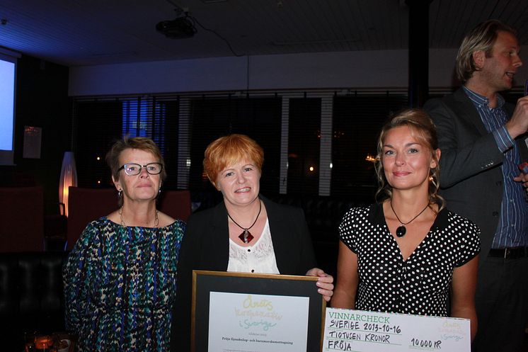 Fröja Barnmorske- och gynekologimottagning vann Årets Kooperativ 2013. 