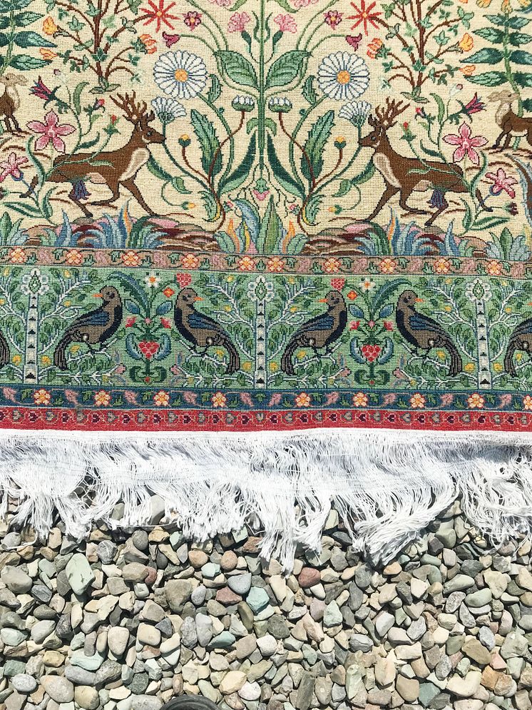 Foto: Gelayol Mosaed 