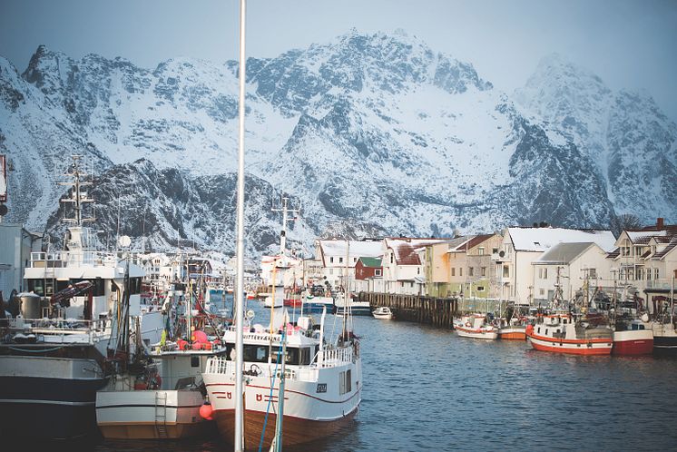 Der Hafen vom kleinen Fischerdorf Henningsvaer auf den nordnorwegischen Lofoten