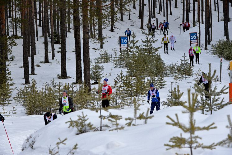  Vasaloppets vintervecka 2016 startade med Kortvasan 2016-02-26 