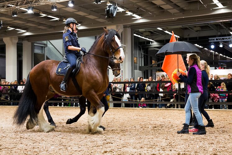 Polisrytteriet hade uppvisning på EuroHorse