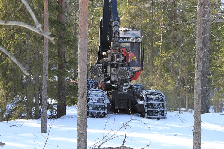 Skogsmaskin som kan användas vid hyggesfritt skogsbruk