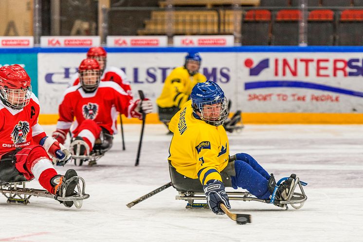 Kälkhockey-VM mars 2015