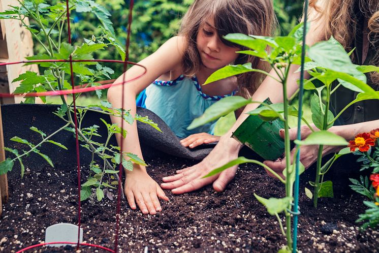 Lapsi istuttaa_Plantagen.jpg