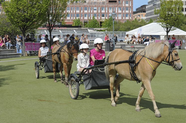 Gilla Häst i Kungsträdgården: Prova på ponnykörning.