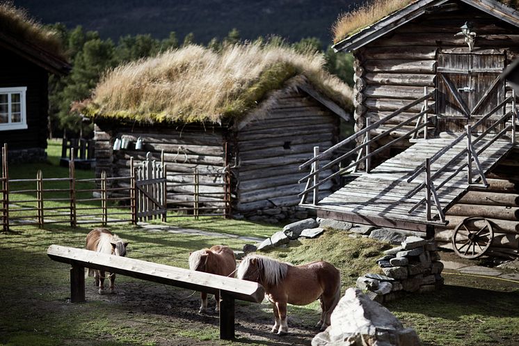 Norwegische Familienbetriebe stellen sich auf der Anuga vor .