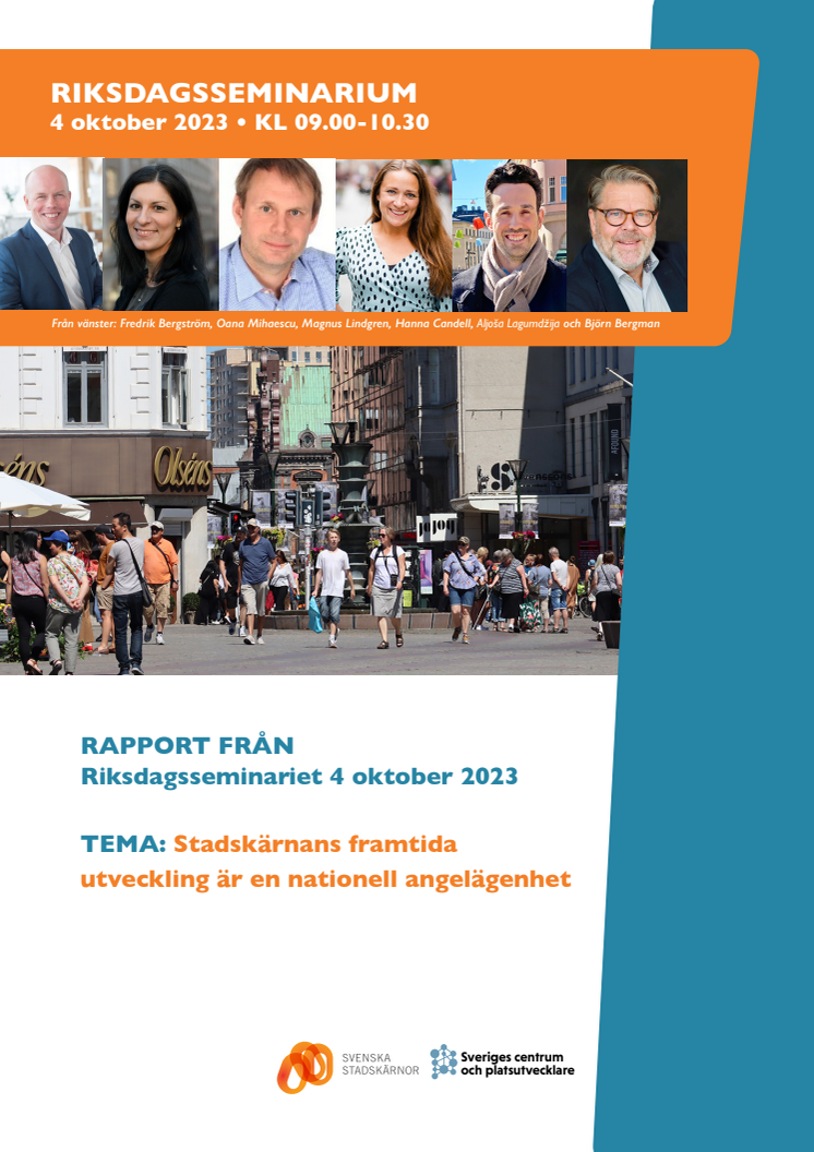 Rapport Riksdagsseminarium 4 oktober 2023.pdf