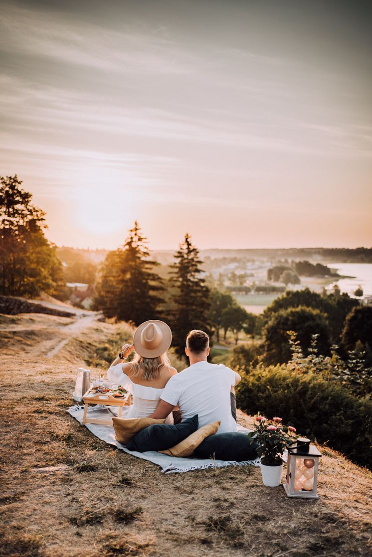 Estonian piknik