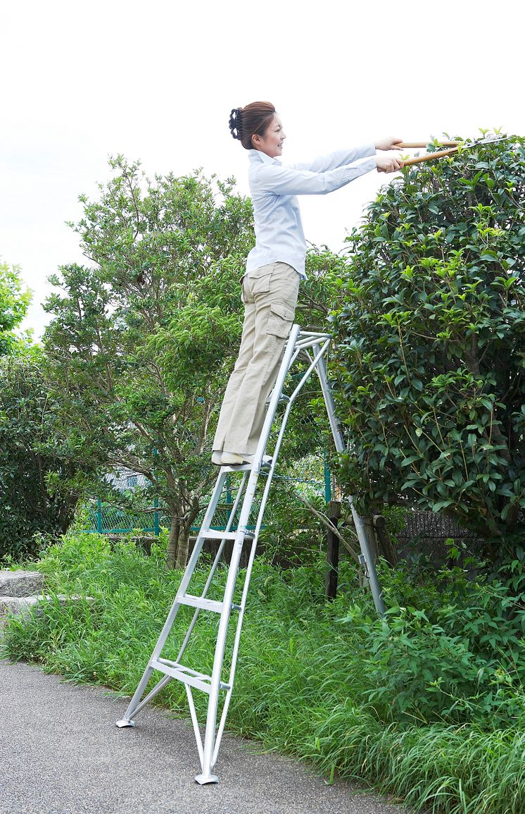 A Japanese tripod ladder has won the 2018 Elmia Garden Award.