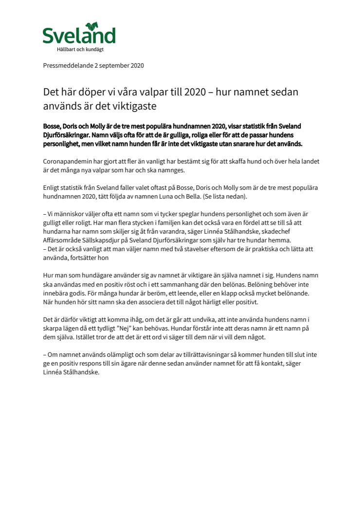 Det här döper vi våra valpar till 2020 – hur namnet sedan används är det viktigaste
