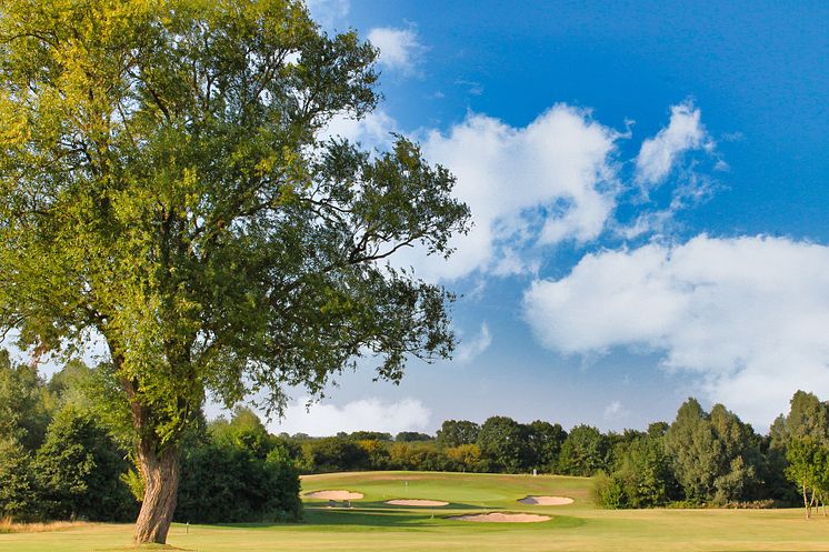 Golfer-Highlight: Das neue Signature Hole ´Lowie´s Corner`.