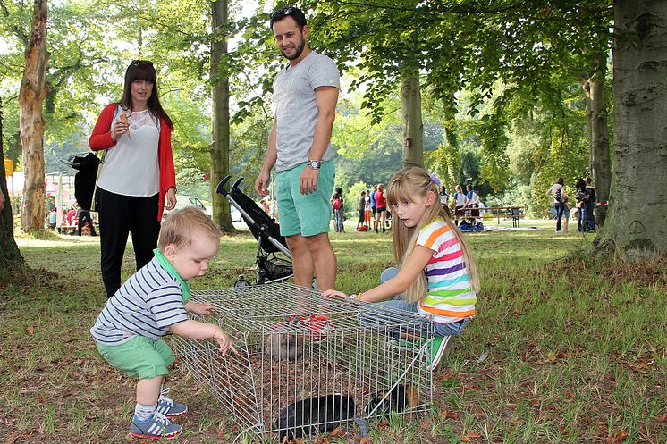 Tag der offenen Tür im Kinderhospiz: Bärenherz-Sommerfest lockt 1.000 Besucher in den Kees’schen Park