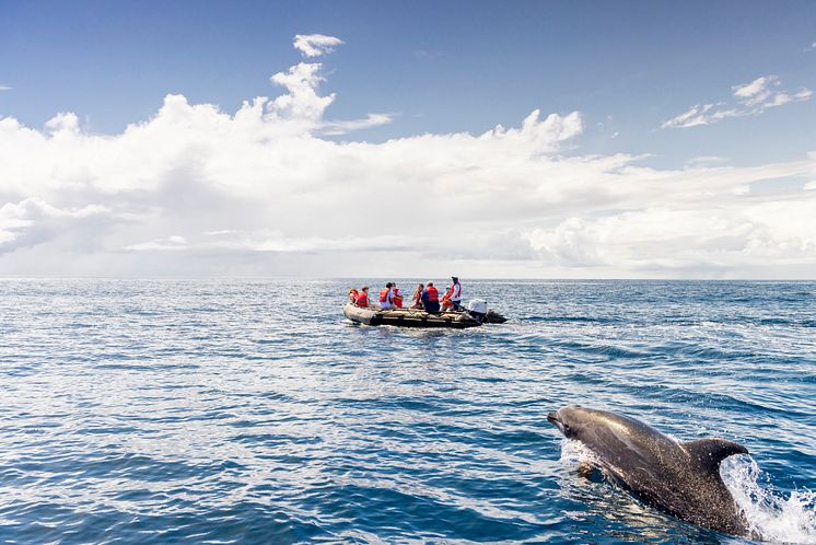 Galapagos-Ecuador-HGR-154109-Photo_Ashton_Ray_Hansen