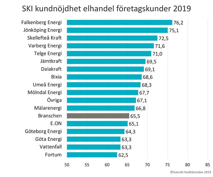 SKI elhandel företag 2019