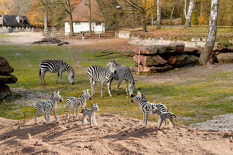 PLAYMOBIL und der Tiergarten Nürnberg laden zum großen Zoo-Quiz ein