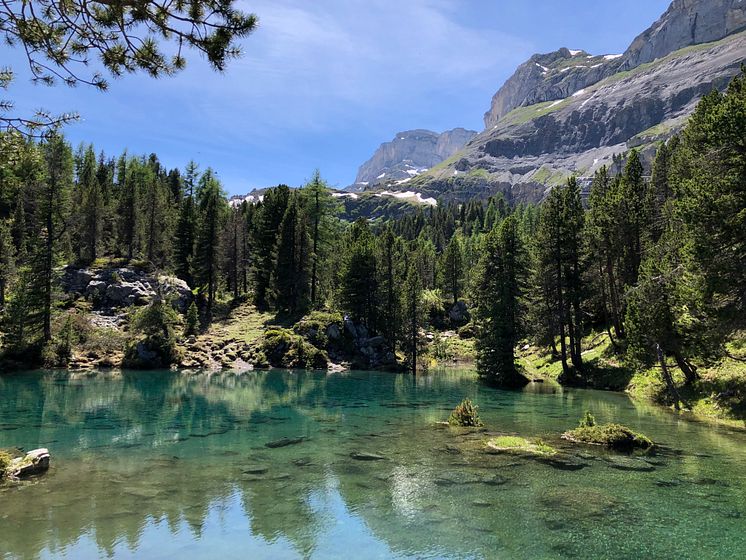 Arvenseeli in Kandersteg II 