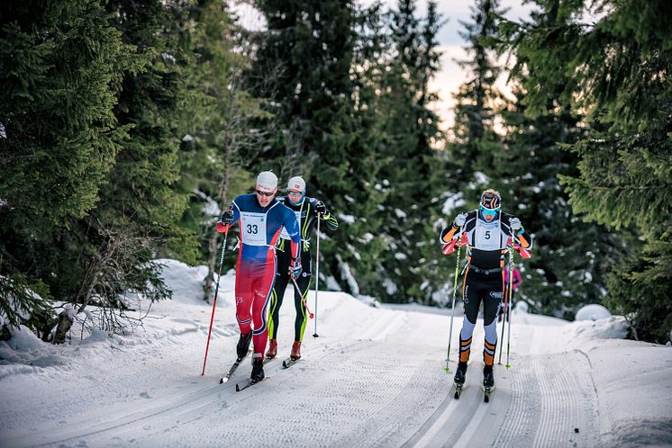 Flere vil gå Trysil Skimaraton
