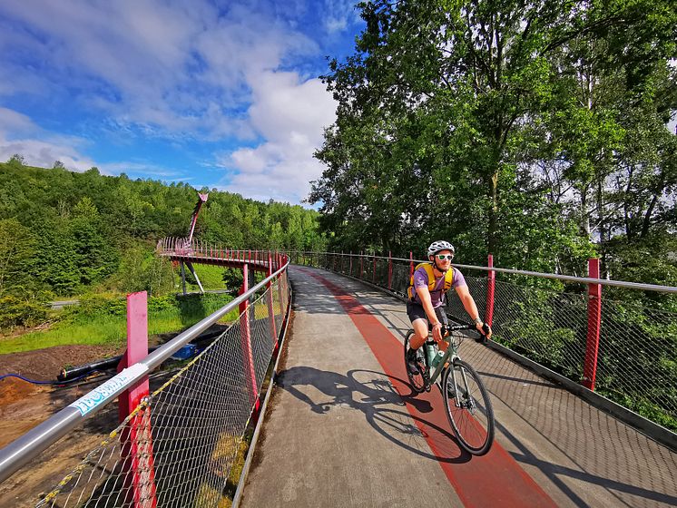 Drachenbrücke_Foto radrevier.ruhr_Schlutius