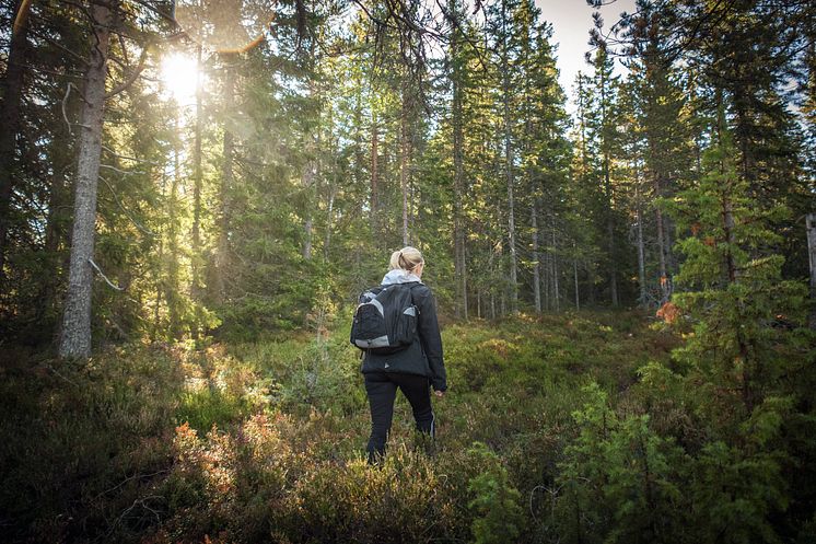 Dalarna Leksand fotograf Anna Holm